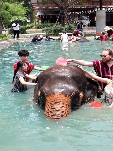 One Bucket. One Splash. Endless Smiles.