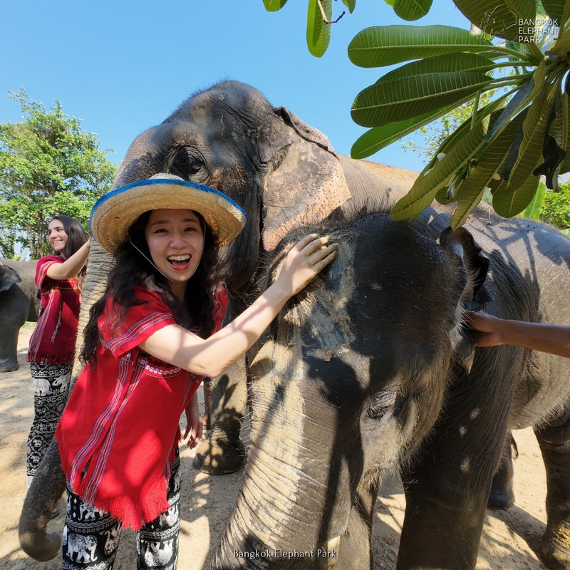 Bangkok Elephant Park Half-day Tour