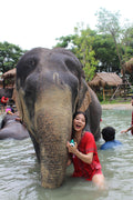 Bangkok Elephant Park