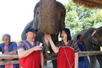 Come closer to nature and meet the elephants at Bangkok Elephant Park 🌿