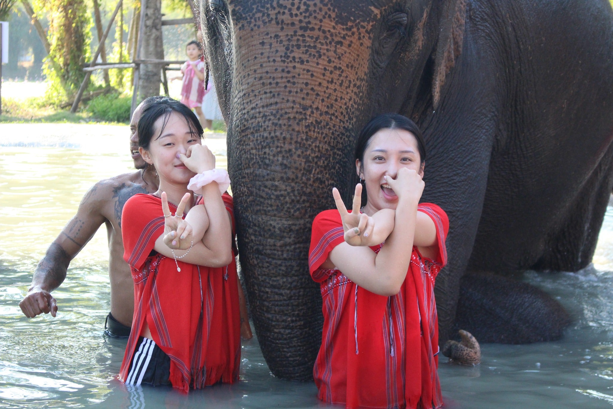 Bangkok Elephant Park