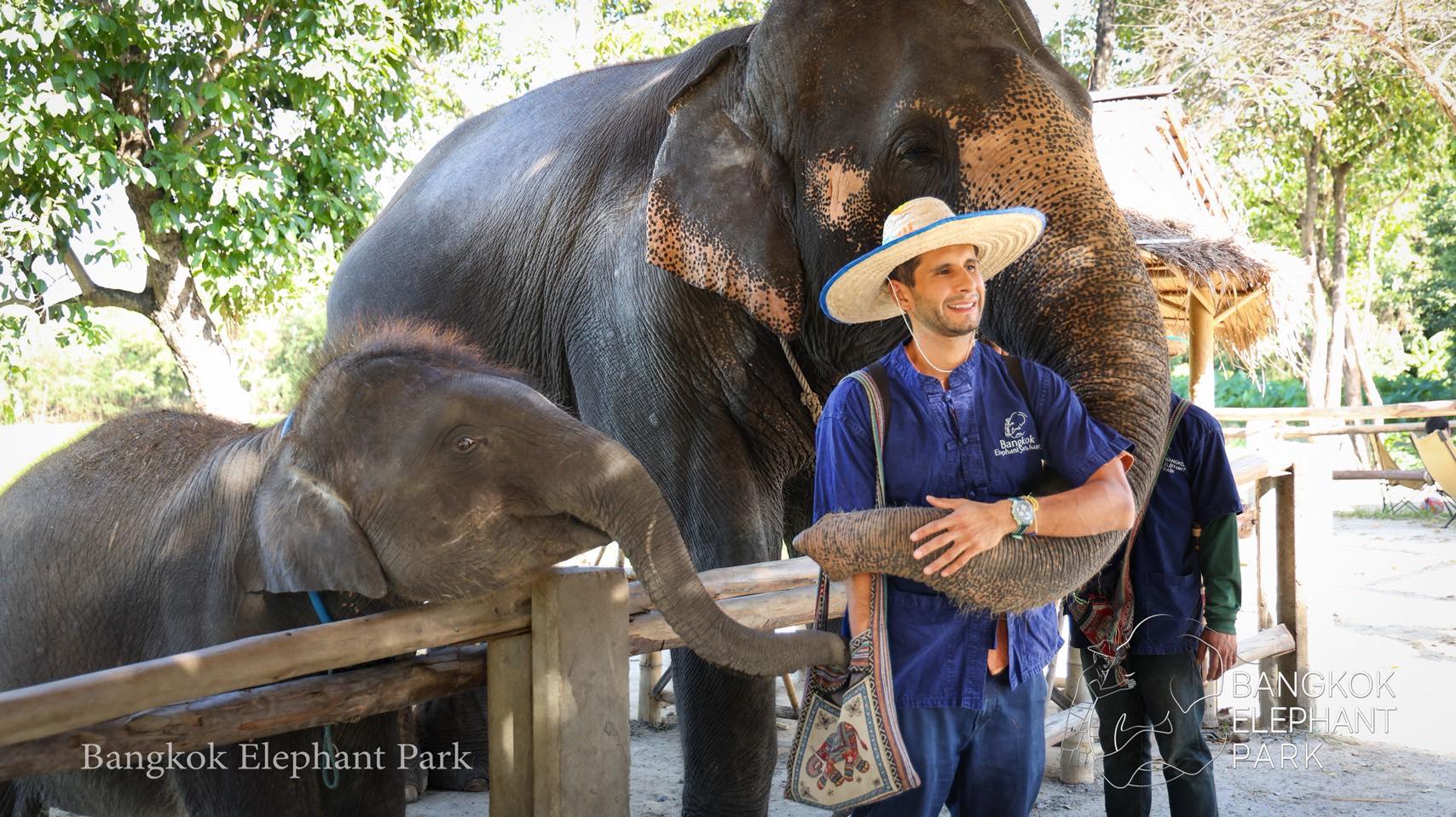 Bangkok Elephant Park